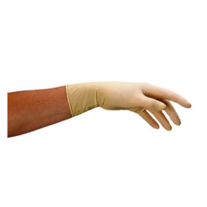 Gants en latex non poudré